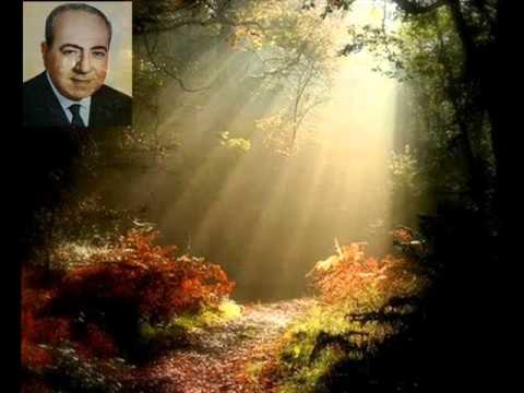 A Força do Silêncio   Alziro Zarur