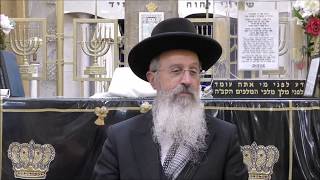 הרב אברהם יוסף - האם תומכת לידה יכולה לנסוע בשבת לבית היולדות