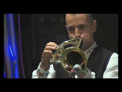 Timocki Veseljaci - Guca 2019