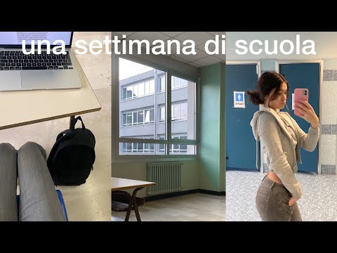 a school week at the 2024 linguistic high school!