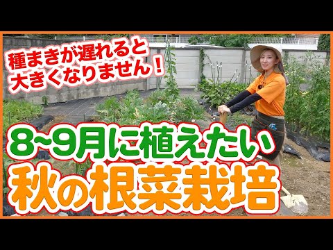  8月には何を植えますか？季節の主役野菜や花々にズームアップ！  庭園