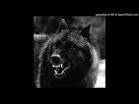 [FREE] ALPHA WANN X SPLURGE X RATU$ TYPE BEAT - ' DRIP 2 '