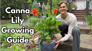 CANNA LILY Care - How to Grow Cannas for Months of Flowers