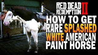 How to Get The Rare Splashed White American Paint Horse! Red Dead Redemption 2 Horses [RDR2]