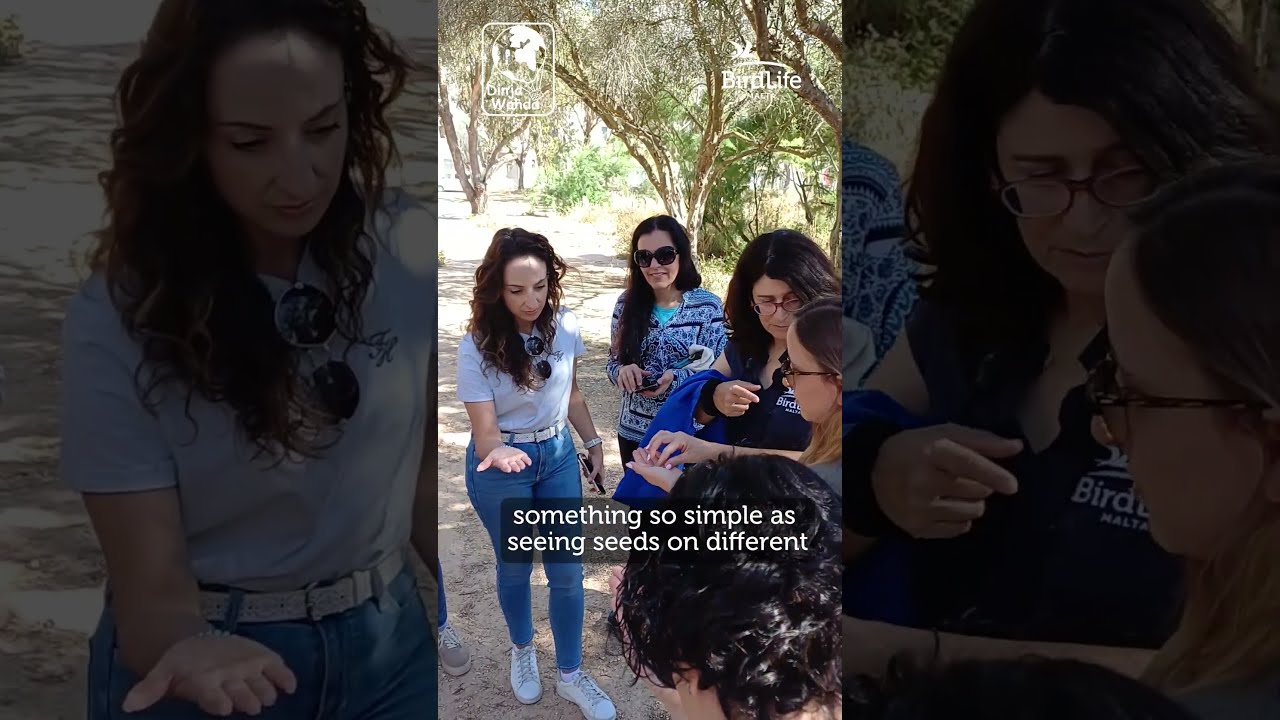 Dinja Waħda Coordinator's Day