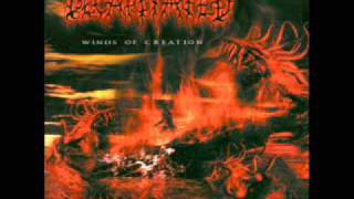 Band: Decapitated, Album: Winds of Creation, Track 8 Dance Macabre (acoustic).