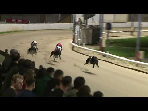 2021 CHAMPION STAKES  - HEAT 6 - T5 UNPRECEDENTED