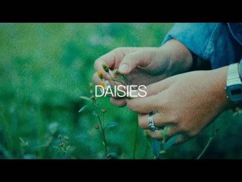Thumbnail Video Daisies