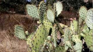 "when the day is done"   written by Sean Kelly