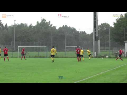 SG Hameln 74  - TSV Wetschen