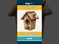 birdhouse (noun) - definition and usage in English