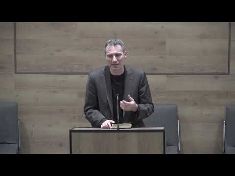 Priveghi 1 29.01.2026