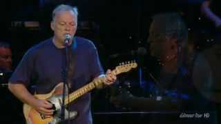 Don&#39;t - David Gilmour by Elvis Presley - HD