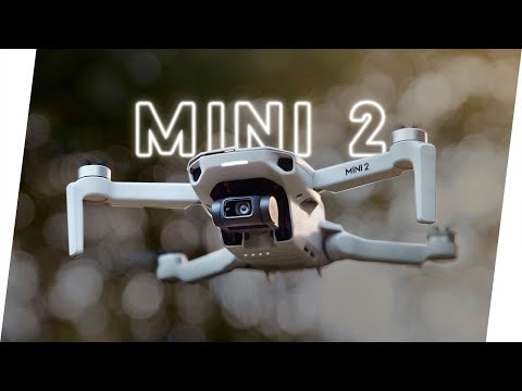 Wieso die DJI Mini 2 trotz Crash die beste Anfänger Drohne 2021 ist!