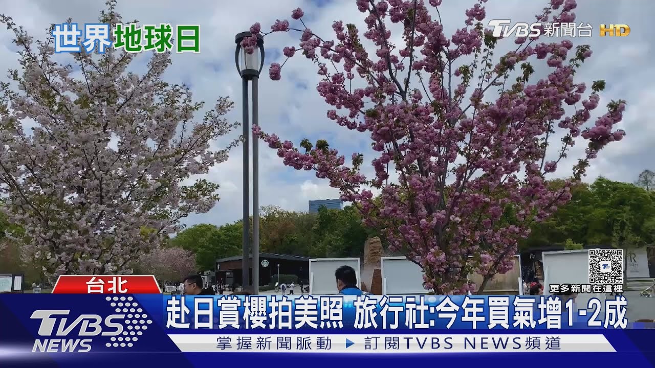 極端氣候恐打亂花季 靠民眾拍花苞預測最佳賞櫻時間