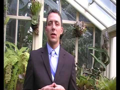 The Super Generation