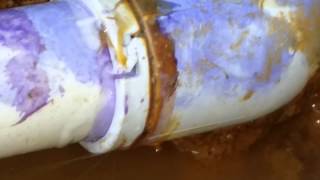 Leak-b-gone ring still leaking sprinkler pipe join