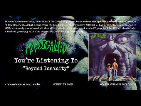 Beyond Insanity video thumbnail