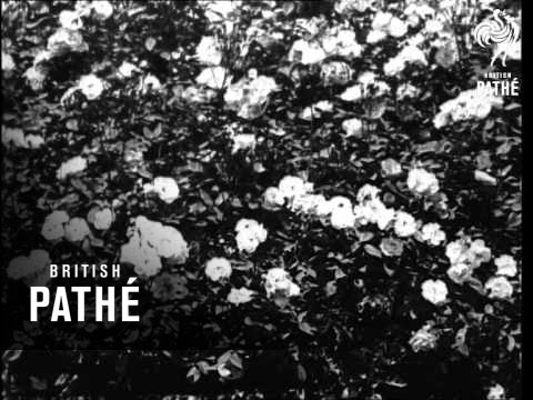 Leonard Gowings In "The Song Of Songs" (1932)