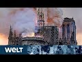 DAS HERZ IN ASCHE Frankreich Entsetzt über Brand In Notre Dame