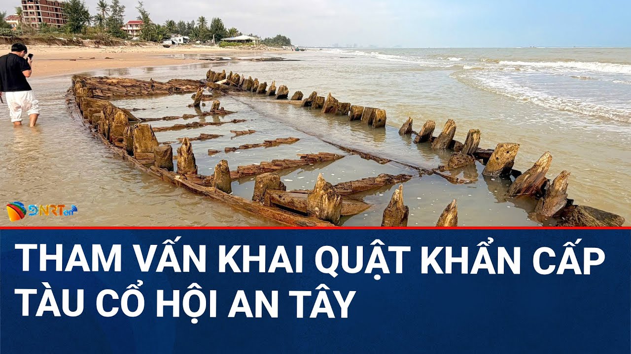 THỜI SỰ TRƯA | Bàn phương án bảo vệ và khai quật tàu cổ xuất lộ ở bờ biển Hội An