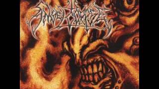 angelcorpse desecration of virgin sarcofago cover