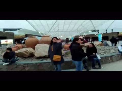 Catamarca - Fiesta del Poncho 2013 - 1