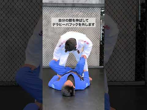 【カウアン・タニノ】ワールドクラス・パスガード vol.2 オープンガードパス｜ハイライト動画