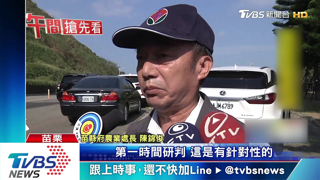 38台石虎相機連續遭竊 縣府:內行人所為