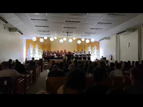 Coral Estaca Brasília Brasil Norte