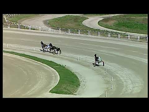 Napoli Trotto 14/02/2021 - prova di qualifica