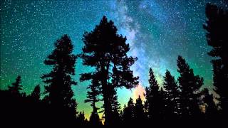 Bombay Jayashri  Pi's Lullaby