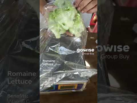 Romaine Lettuce - ( 200-250g ) x 1 Pack
