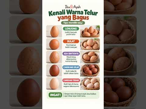 Jangan Tertipu Warna dan Bentuk, Begini Cara Memilih Telur yang Bagus #ibudanayah