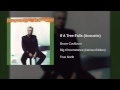 Bruce Cockburn - If A Tree Falls (Acoustic)