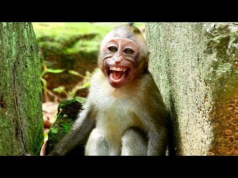 millions terrifying !!! Briana fight Elino so cruel till convulsive around, Very pity screaming