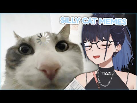 Kson Reacts to 'cat.exe stopped working' meme compilation, learns orange cat lore