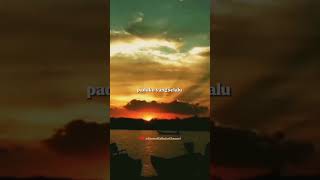Download lagu Slam Rindiani | Slam | Rindiani | lagu Malaysia | story WA 30 detik #shorts #short mp3