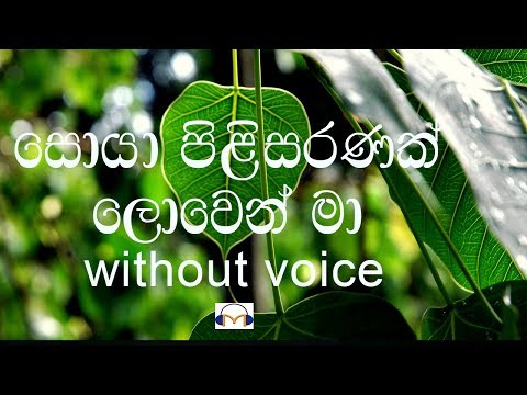 Soya Pilisaranak (without voice) සොයා පිළිසරණක් ලොවෙන් මා