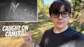 Intruder on the farm!!!