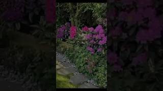 Download lagu #Ummati#Muhammad.        (SAW)#hadees # jnnat#nabi (SAW)#viralshorts #gor muslims #Ummati mp3