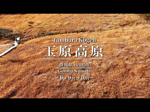 玉原高原　－秋 ９月～１０月上旬－
