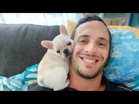 Quand Dieu vous envoie l'âme sœur - moments mignons chien et maître