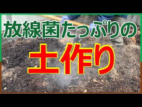 マイコバクテリウム・マリヌムの培養