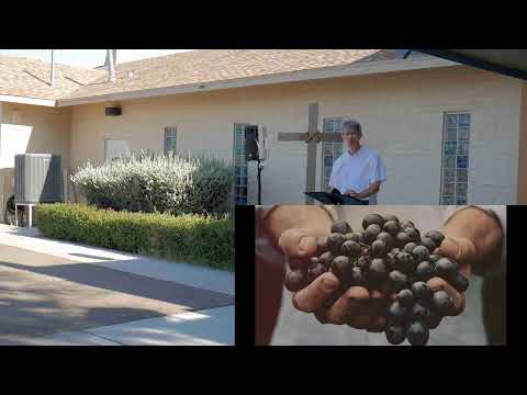 07/12/2020 Fruit of the Spirit (Part 1 of 10)