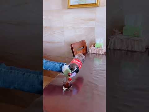 New Funny Videos 2021, Chinese Funny Video try not to laugh #short P1545