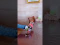 New Funny Videos 2021 Chinese Funny Video Try Not To Laugh Short P1545