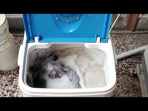 DMR MiniWash DMR46-1218 : Positive and Negative Points (Hindi) (Live Video)