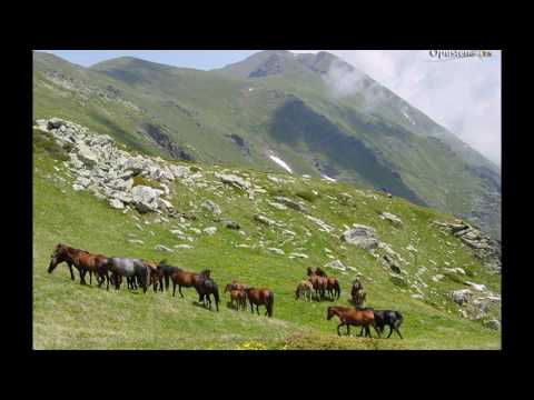 Nacka Slavkova - BOLEN LEGA JOVO ( Izvorna pesna od tetovskiot kraj )