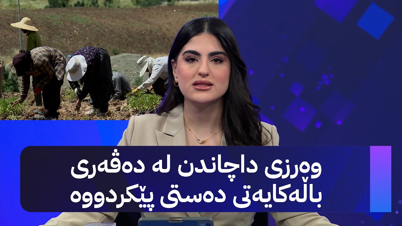 ڤیدیۆ | وەرزی داچاندن لە دەڤەری باڵەکایەتی دەستی پێکردووە